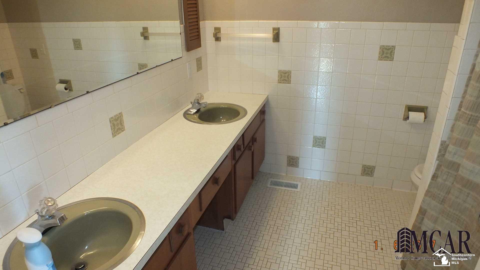13751 South Custer Road Dundee, MI 48131 - Photo 19 of 26 Master Bath