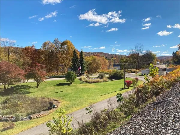 a view of a yard with plants and trees