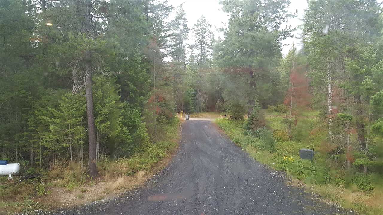 4511 Olson Road Clayton, WA 99110 - Photo 16 of 20
