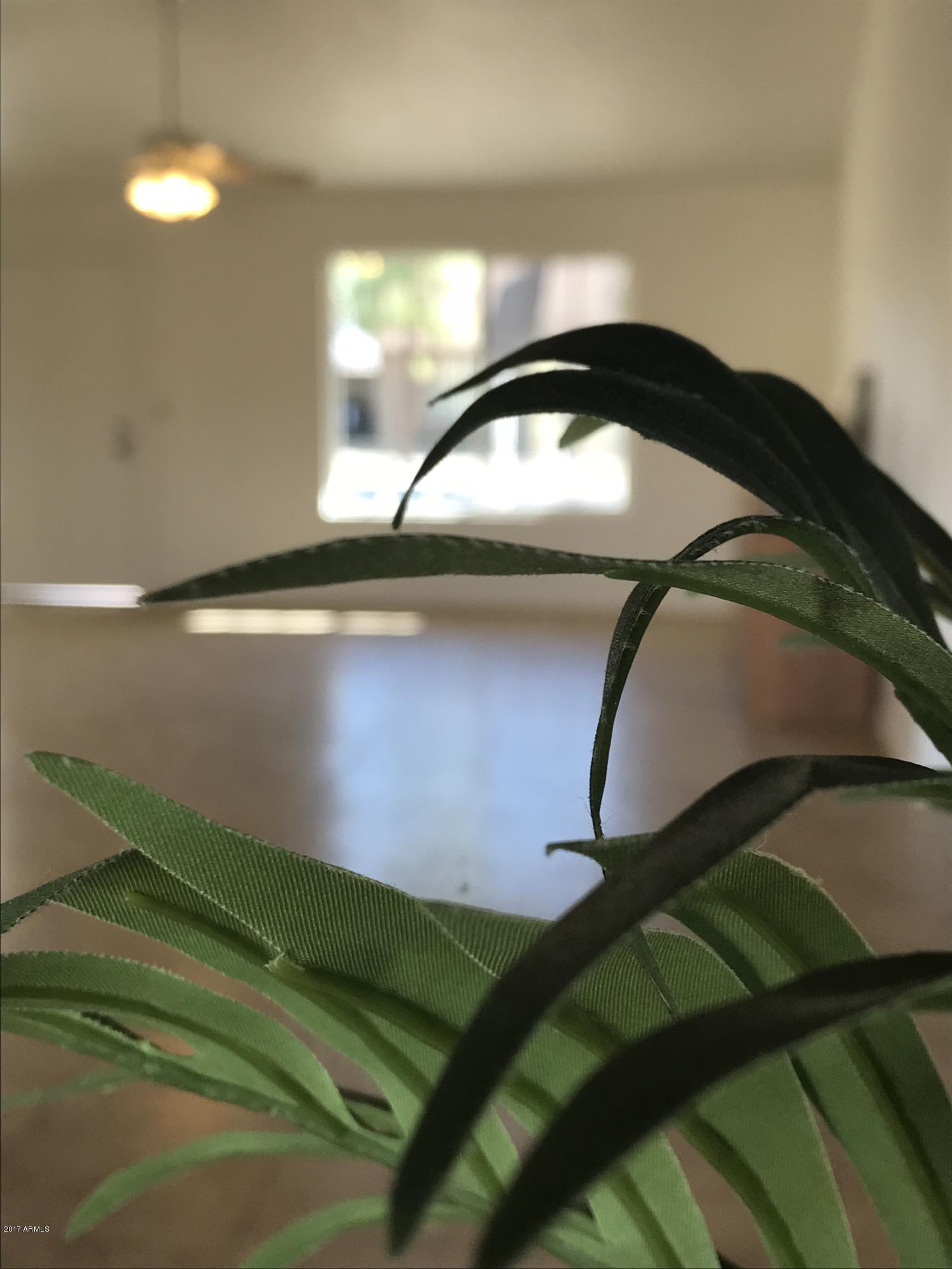 1244 East Marco Polo Road Phoenix, AZ 85024 - Photo 10 of 20 Artistic View