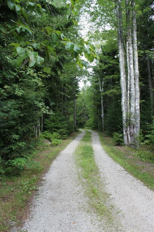 461 Oak Point Road Trenton, ME 04605 - Photo 2 of 15 Long private driveway.