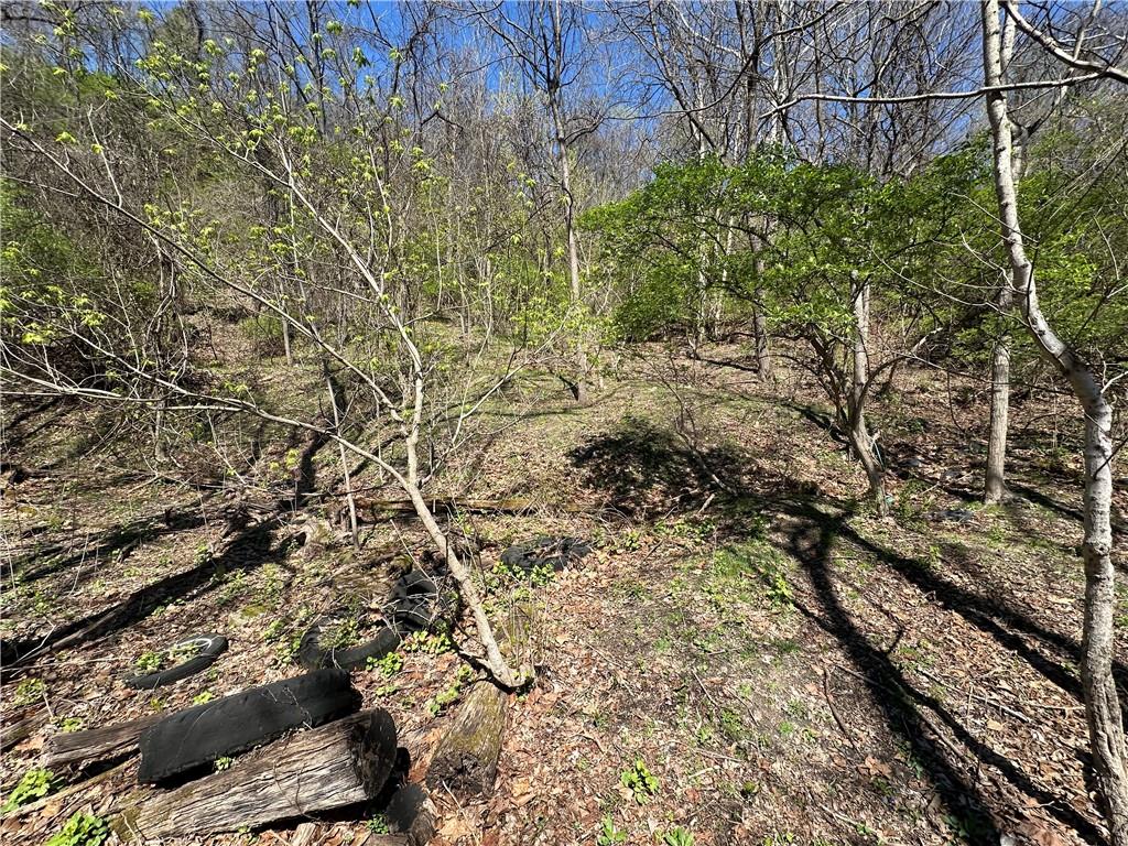 0 Bower Hill Road Bridgeville, PA 15241 - Photo 2 of 11