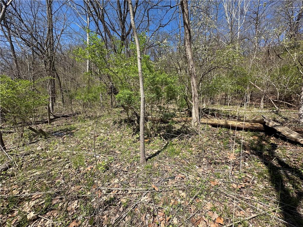 0 Bower Hill Road Bridgeville, PA 15241 - Photo 3 of 11