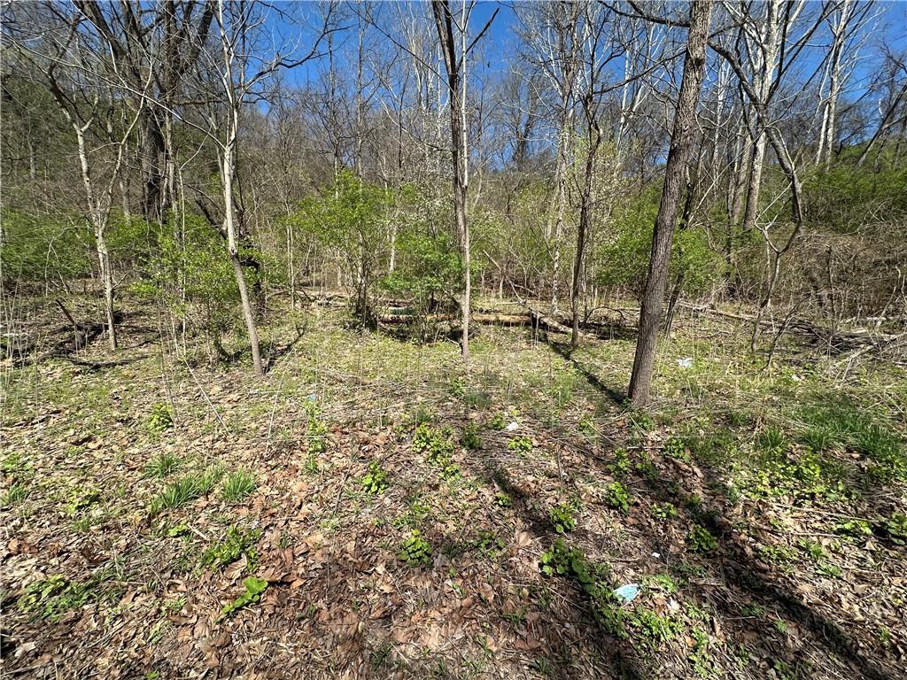 0 Bower Hill Road Bridgeville, PA 15241 - Photo 4 of 11