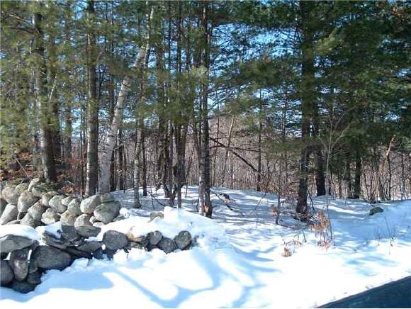 10 Burns Hill Road Alexandria, NH 03222 - Photo 1 of 1