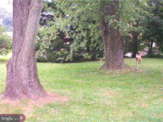 36 Brookside Road Glenside, PA 19038 - Photo 5 of 5 Gallery Image 5