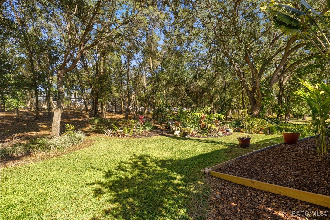 389 West Doerr Path Hernando, FL 34442 - Photo 51 of 84