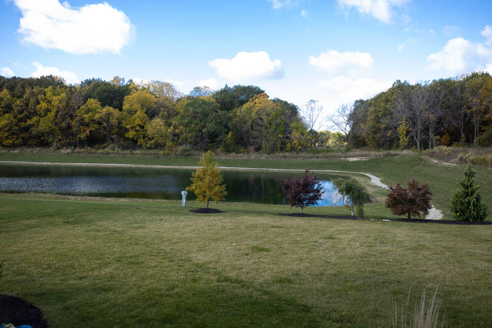 7264 East 115th Avenue Crown Point, IN 46307 - Photo 42 of 42 a view of outdoor space and yard