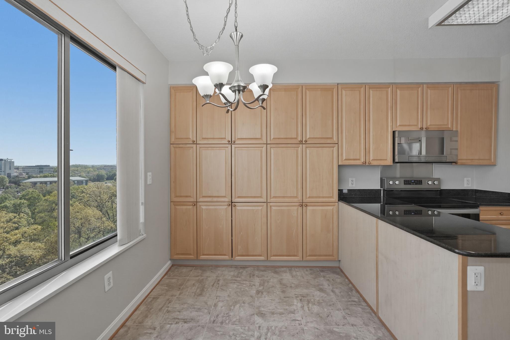 19365 Cypress Ridge Terrace, Unit 907 Leesburg, VA 20176 - Photo 19 of 77 Breakfast room with view of river