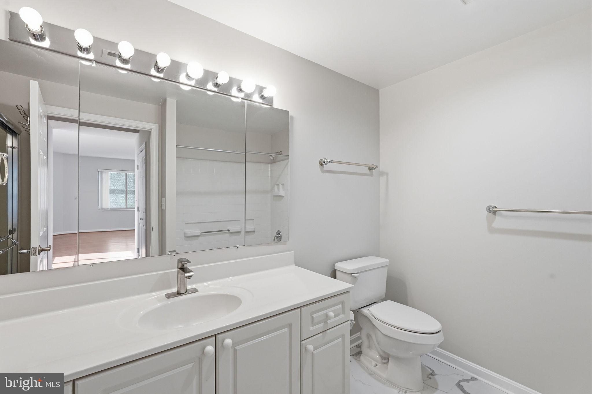 19365 Cypress Ridge Terrace, Unit 907 Leesburg, VA 20176 - Photo 30 of 77 Walk in shower and bathtub/shower combo