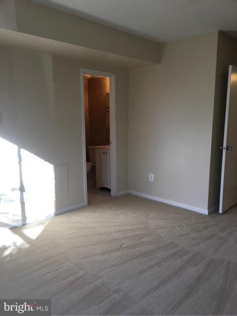 11650 Stoneview Square, Unit 1B Reston, VA 20191 - Photo 14 of 17 Bedroom (Master) w/new carpet
