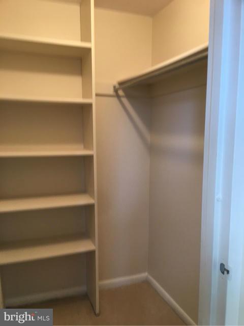 11650 Stoneview Square, Unit 1B Reston, VA 20191 - Photo 16 of 17 Bedroom (Master) walk-in closet