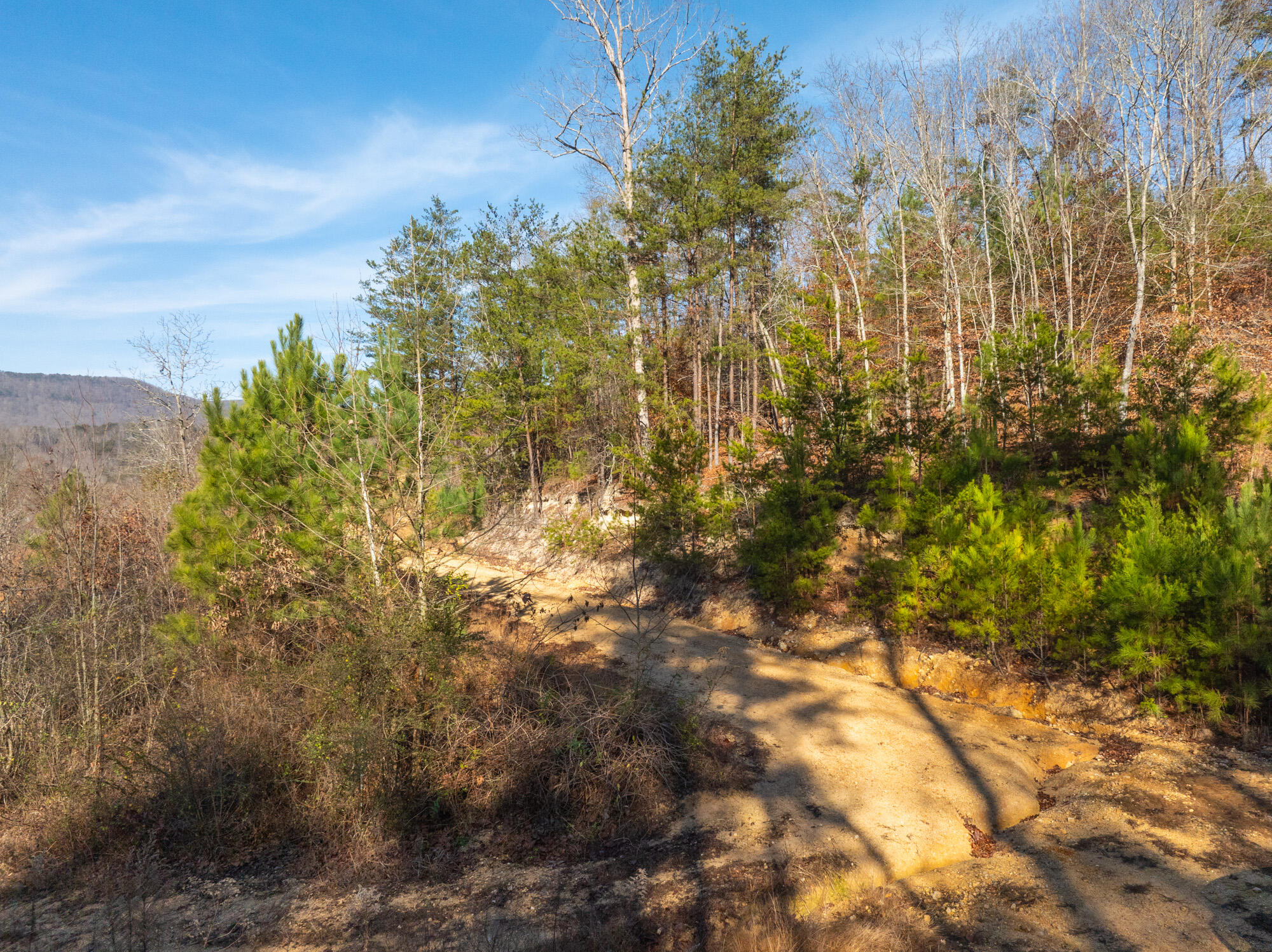 3400 Bronco Road LaFayette, GA 30728 - Photo 16 of 16 63 Acres
