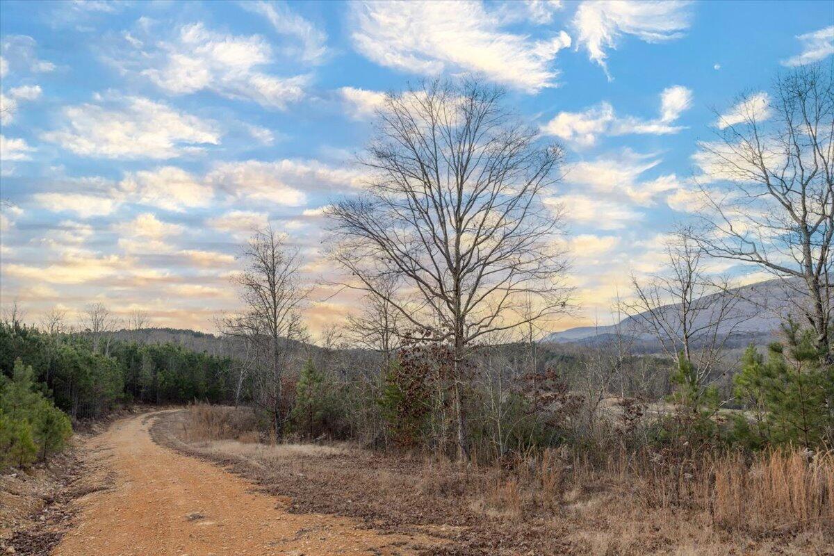3400 Bronco Road LaFayette, GA 30728 - Photo 5 of 16 Driveway