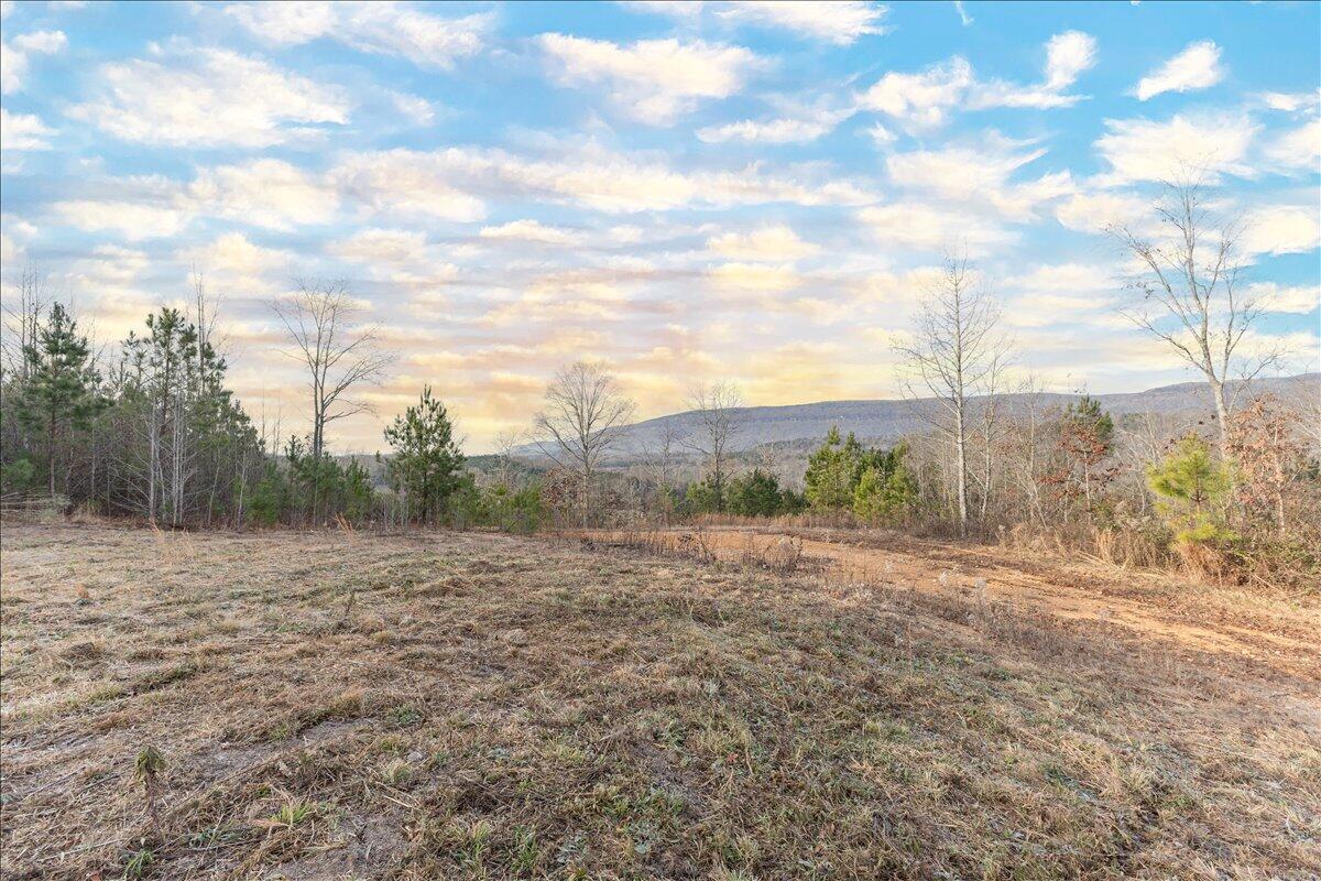 3400 Bronco Road LaFayette, GA 30728 - Photo 7 of 16 Build Site