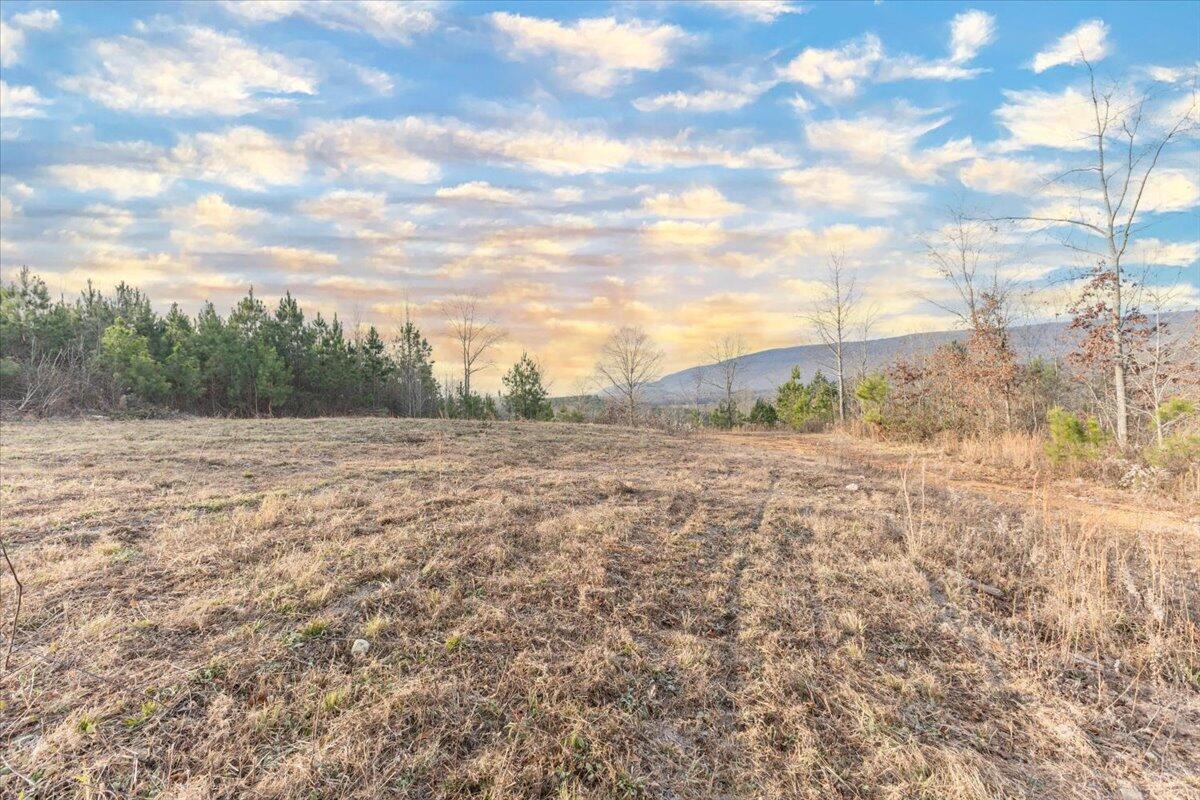 3400 Bronco Road LaFayette, GA 30728 - Photo 8 of 16 Build Site