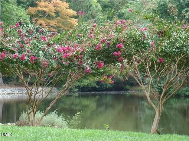 $600,000 | 300 West Kirkfield Drive, Cary, NC 27518