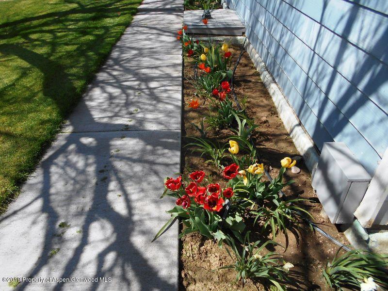 520 Lariat Road Silt, CO 81652 - Photo 12 of 30 a picture of flowers