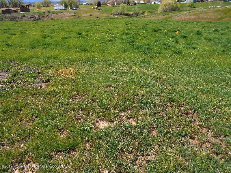 520 Lariat Road Silt, CO 81652 - Photo 14 of 30 a view of a big yard with plants and large trees