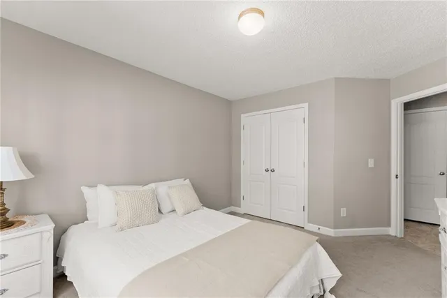 a city view with tall trees