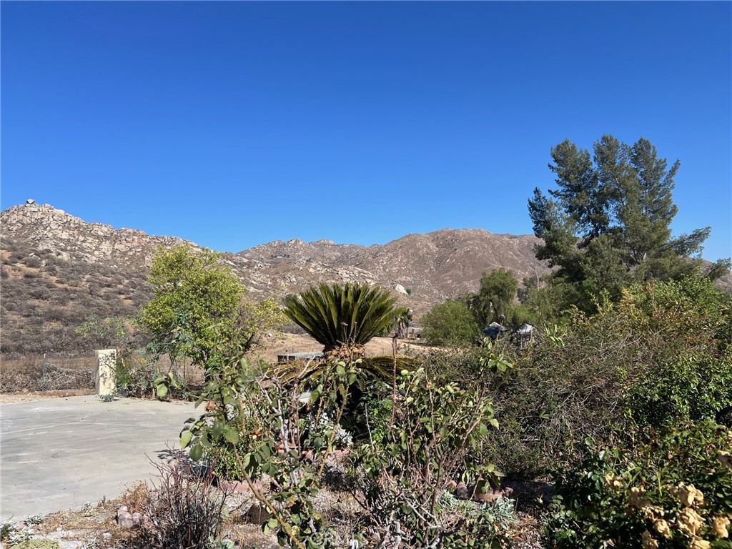 2005 Mt Vernon Avenue Riverside, CA 92507 - Photo 3 of 36