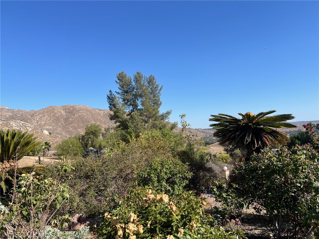 2005 Mt Vernon Avenue Riverside, CA 92507 - Photo 4 of 36