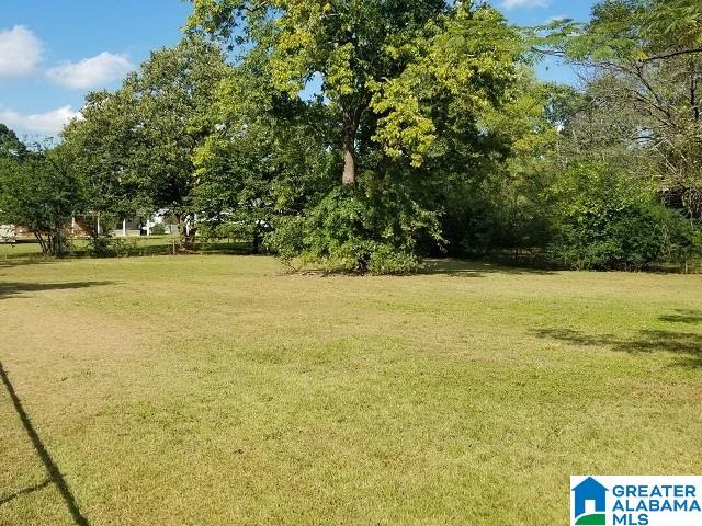 339 Glade Road East Anniston, AL 36206 - Photo 23 of 27