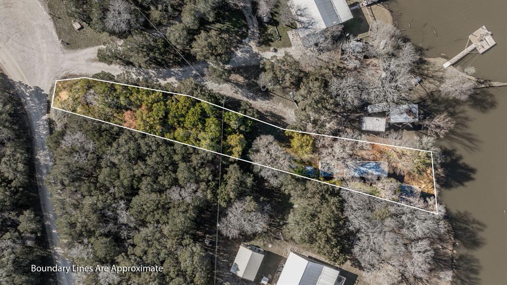 9037 Lacy Road Graford, TX 76449 - Photo 15 of 36 a view of a yard with a tree