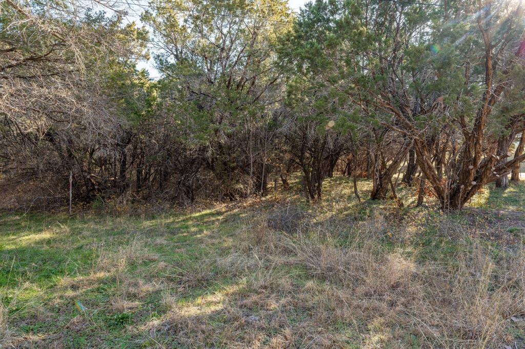 9037 Lacy Road Graford, TX 76449 - Photo 31 of 36 a view of a forest with trees in the background