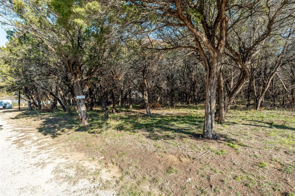 9037 Lacy Road Graford, TX 76449 - Photo 32 of 36 a view of a yard with a tree