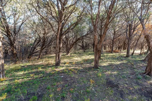 a view of outdoor space with trees