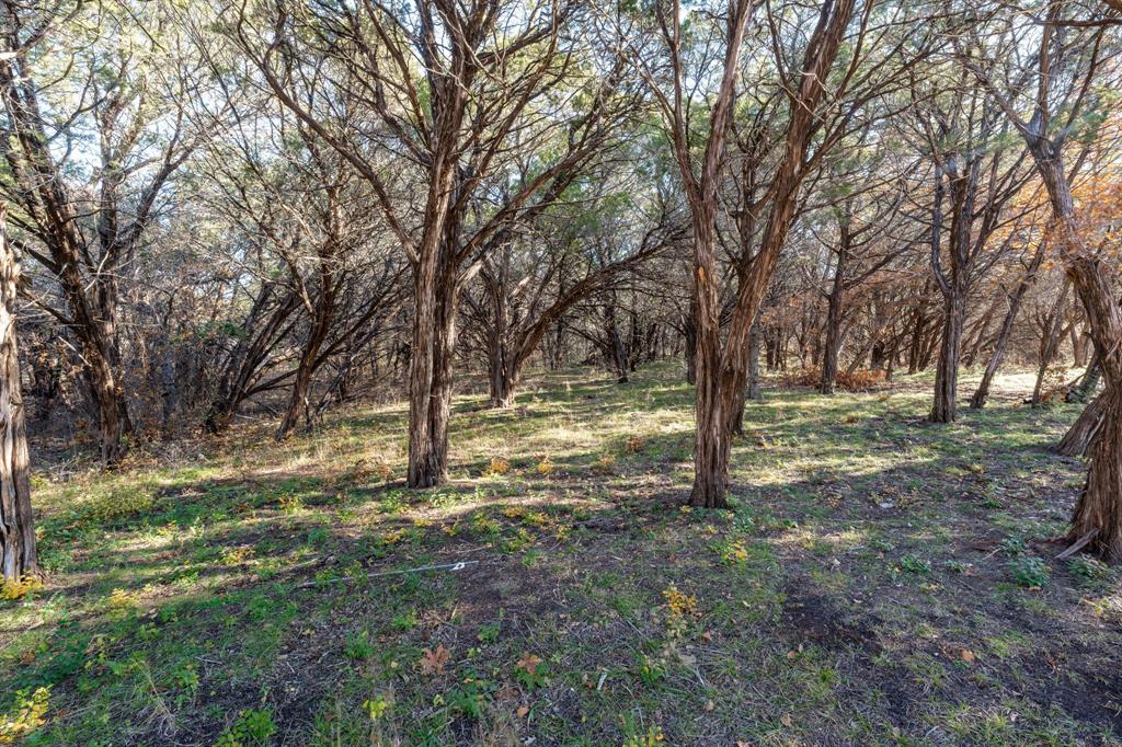9037 Lacy Road Graford, TX 76449 - Photo 33 of 36 a view of outdoor space with trees