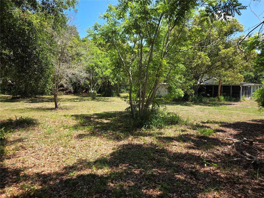 3810 East Lumsden Road Valrico, FL 33594 - Photo 2 of 4