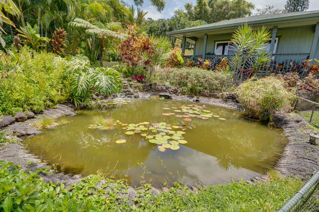 60 Koolau Road Haiku, HI 96708 - Photo 30 of 30 Lilly pond
