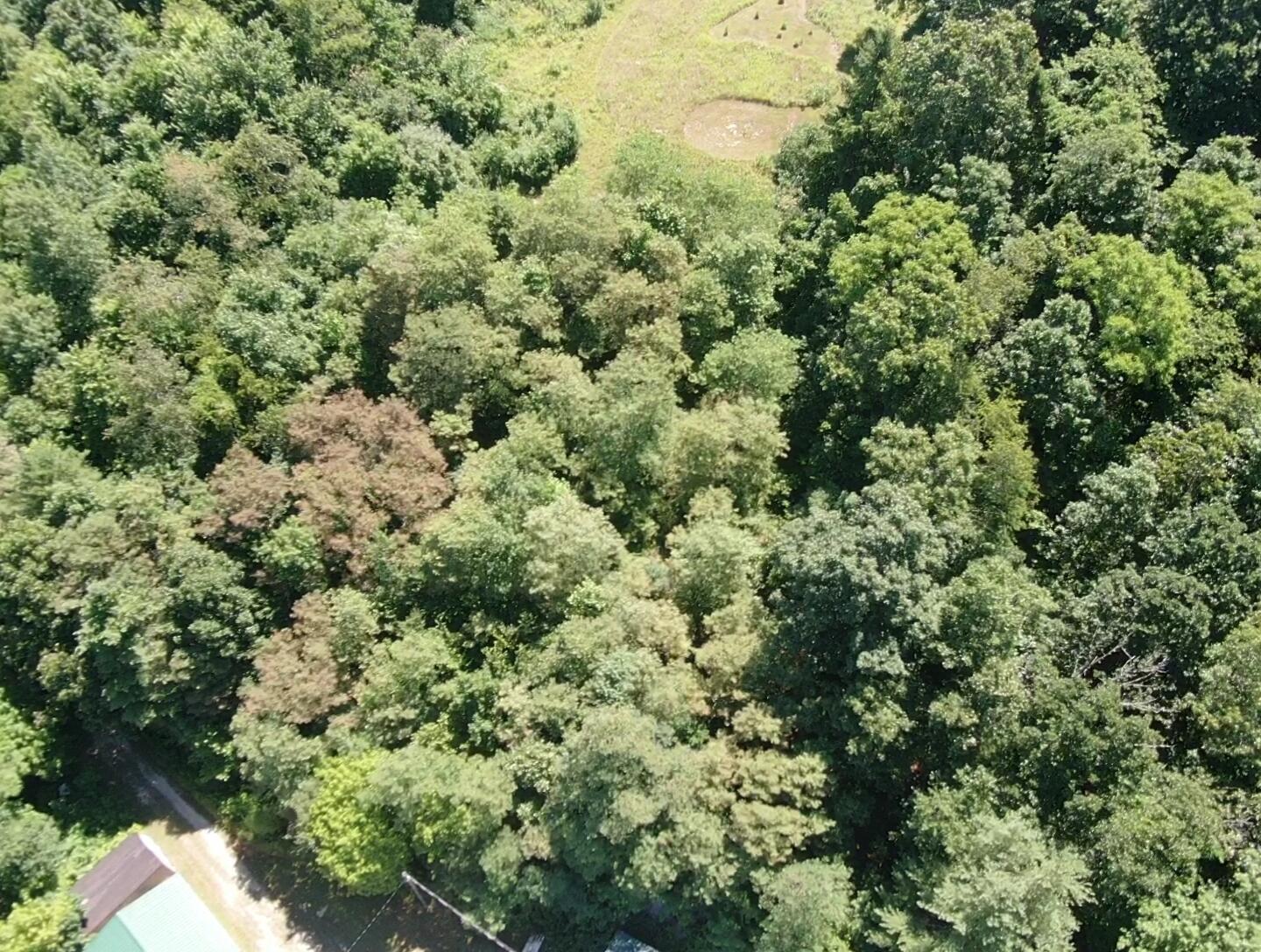 740 Royma Road Northeast Corning, OH 43730 - Photo 26 of 45 screen_7204ce75360599ba_1527829675863
