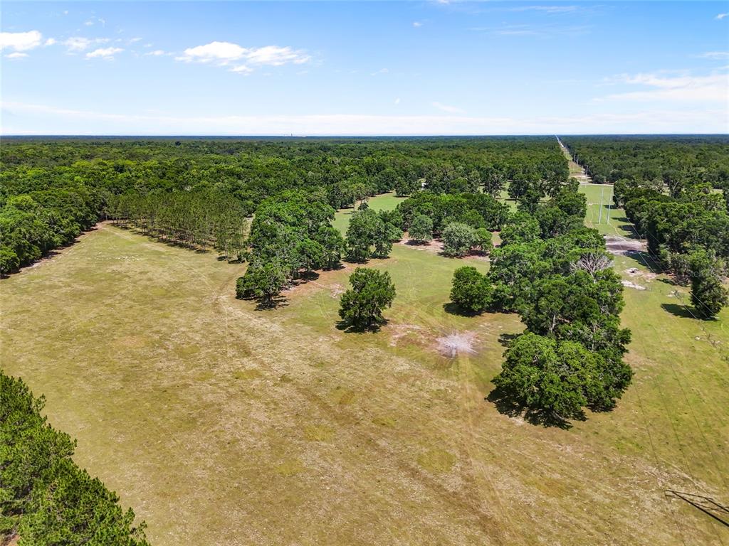 4639 Southwest Wilson Springs Road Fort White, FL 32038 - Photo 27 of 36 a view of a yard