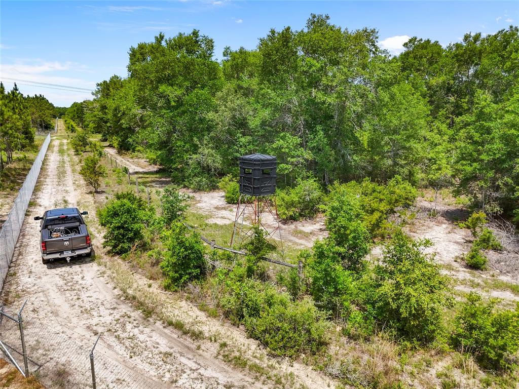 4639 Southwest Wilson Springs Road Fort White, FL 32038 - Photo 32 of 36 a backyard of a house with lots of green space