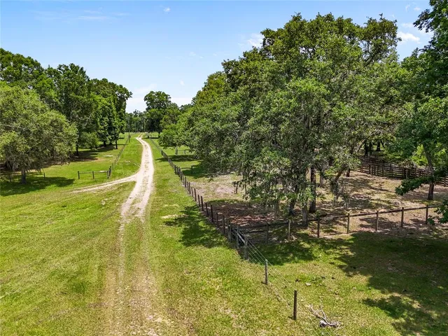 a view of a lake with large trees