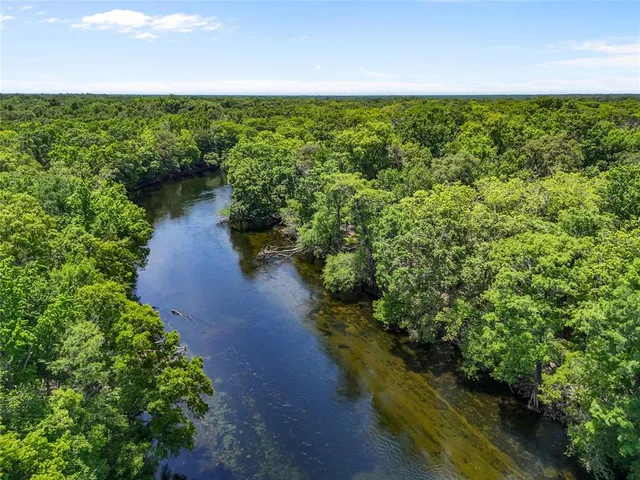 a view of a garden with an outdoor space