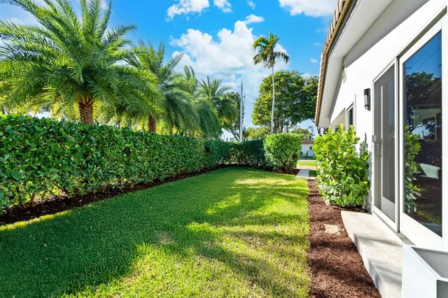 a view of a yard with plants and garden