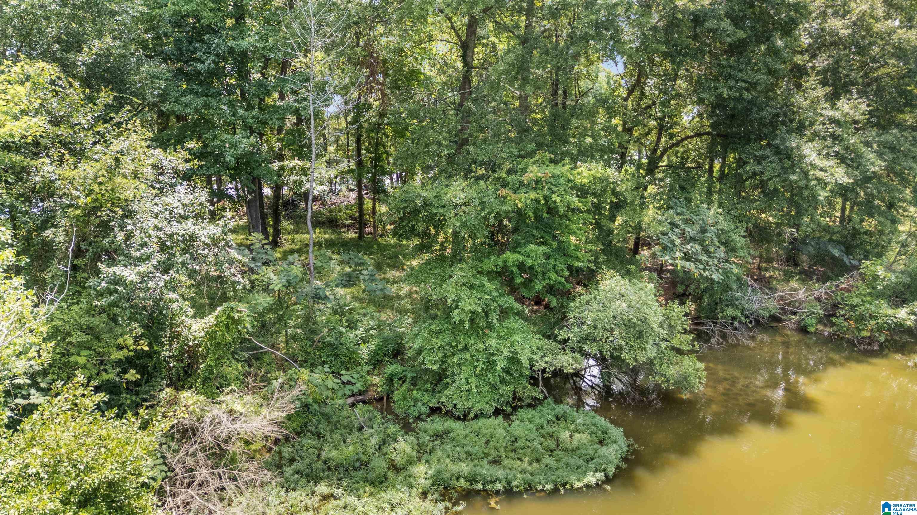 Lot 7 Hebb Road, Unit 7B Wilsonville, AL 35186 - Photo 22 of 22 Gallery Image 22
