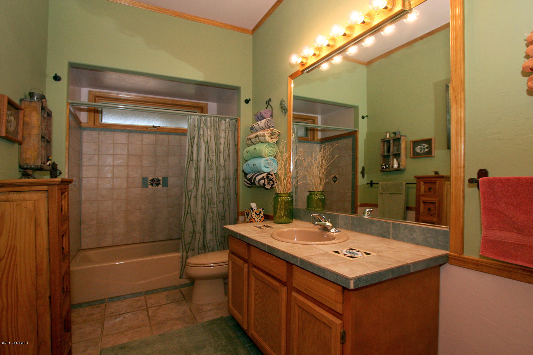 9780 East Ocotillo Rim Trail Vail, AZ 85641 - Photo 22 of 48 Guest Bathroom