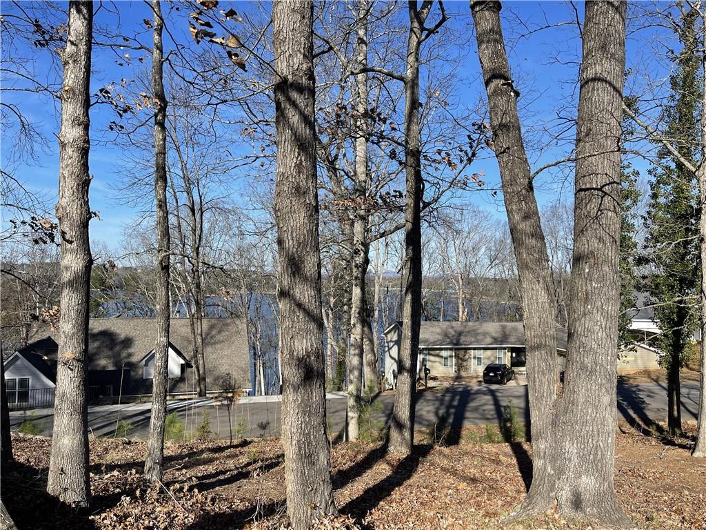 3492 Point View Circle Gainesville, GA 30506 - Photo 63 of 67