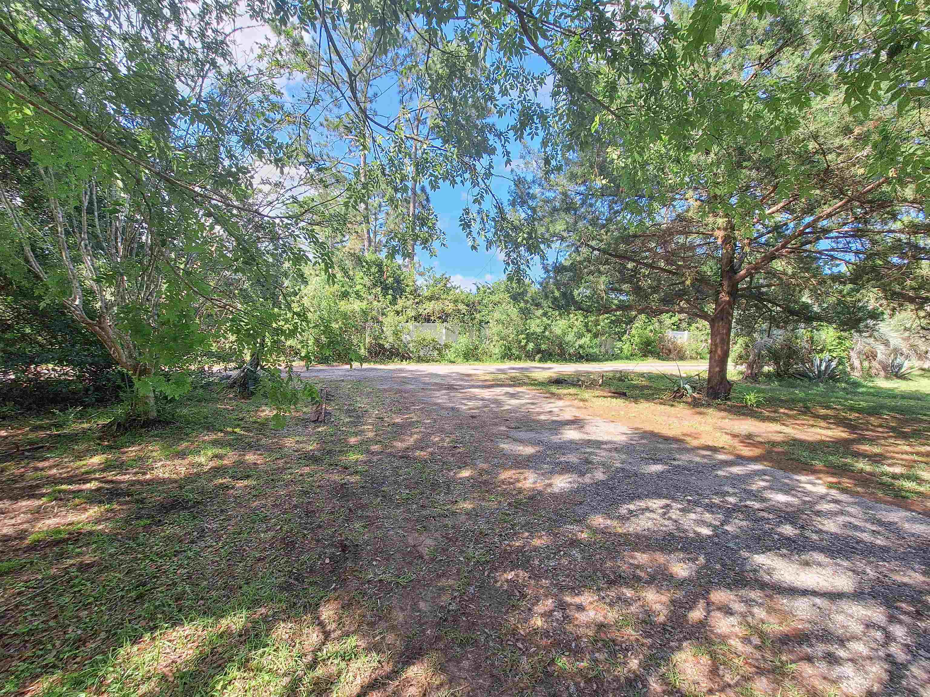 5610 Datil Pepper Road St. Augustine, FL 32086 - Photo 33 of 48