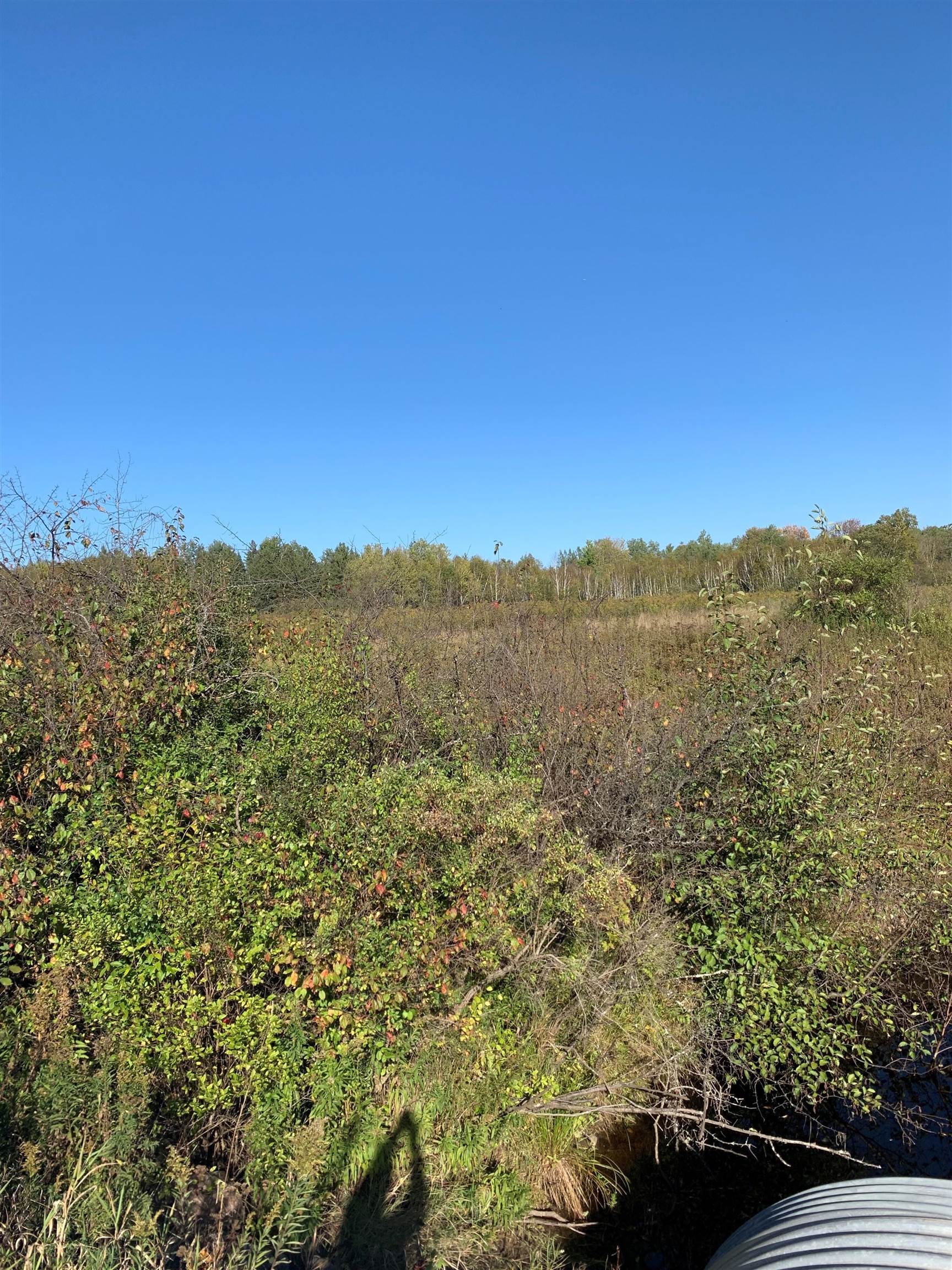 48.6-acres County Road West Merrill, WI 54452 - Photo 15 of 17