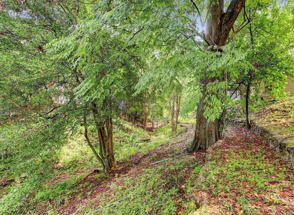 1231 Bay Oaks Road Houston, TX 77008 - Photo 5 of 9 a view of a tree in the middle of a yard