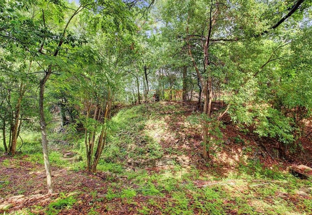 1231 Bay Oaks Road Houston, TX 77008 - Photo 6 of 9 a big yard with lots of green space and house in the back