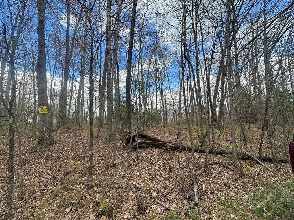 0 Shades Of Death Road Danese, WV 25831 - Photo 7 of 38 Gallery Image 7