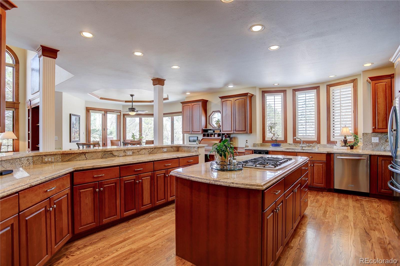 7 Red Tail Drive Highlands Ranch, CO 80126 - Photo 6 of 40