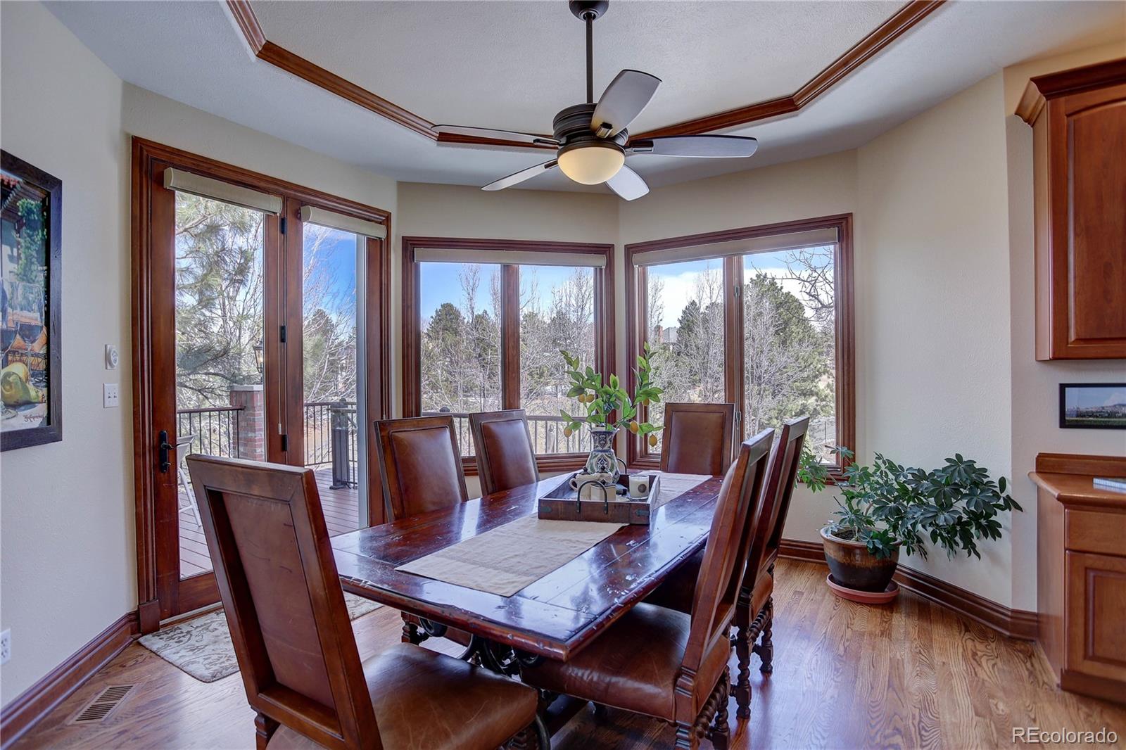 7 Red Tail Drive Highlands Ranch, CO 80126 - Photo 9 of 40